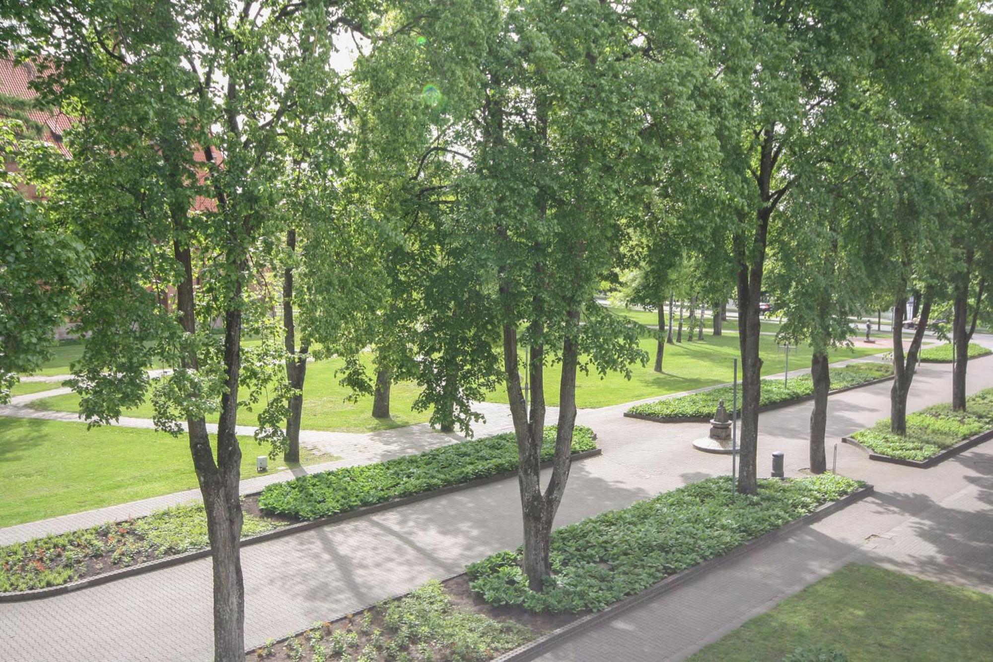 Apartamentai Vilniaus Alejoje Druskininkai Luaran gambar